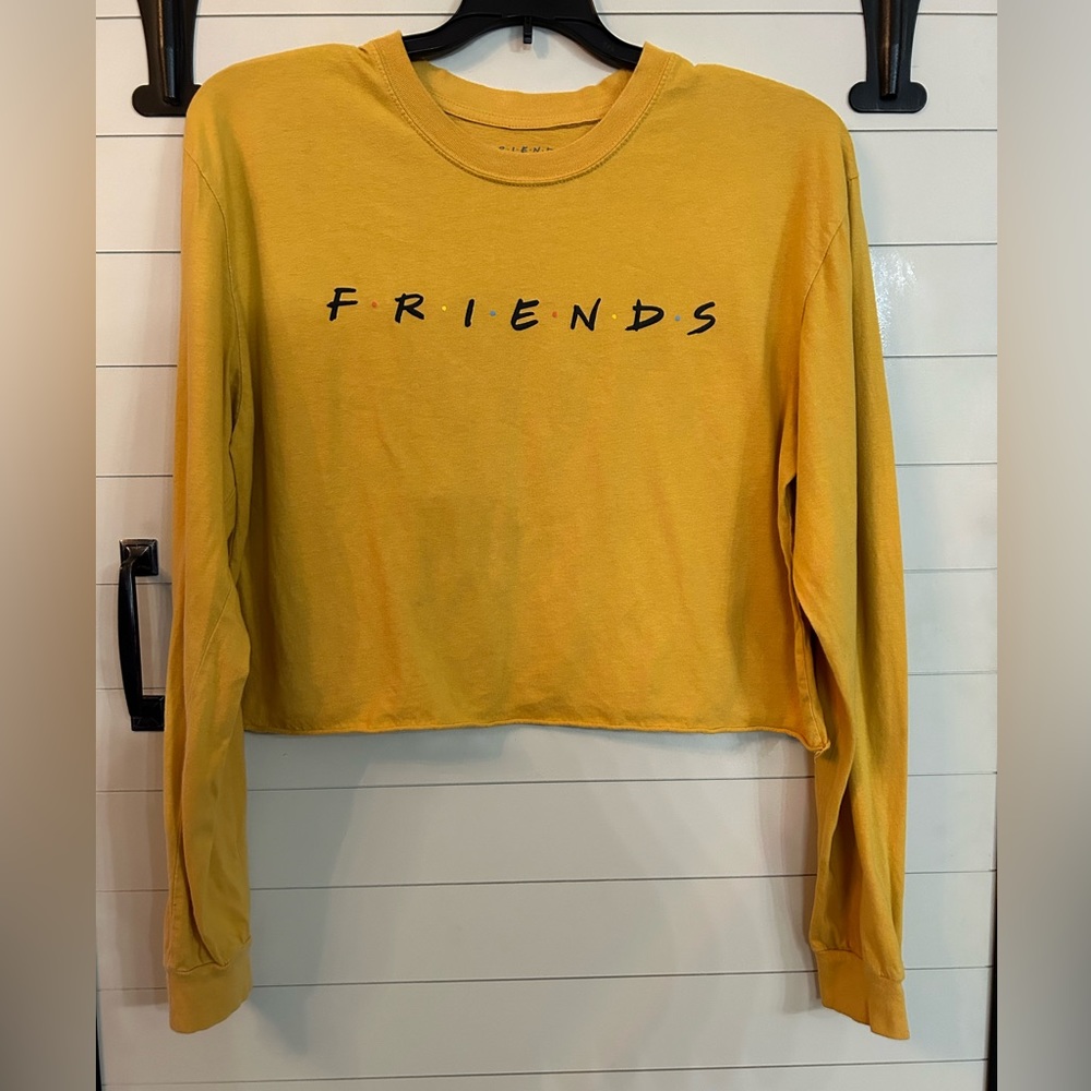 FRIENDS The TV Series Crop